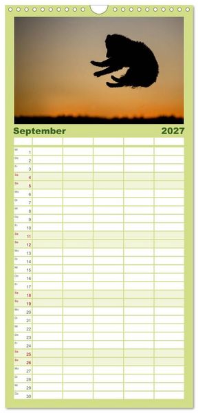 Produktbild: Familienplaner 2027 - Toller - Nova Scotia Duck Tolling Retriever mit 5 Spalten (Wandkalender, 21 x 45 cm) CALVENDO
