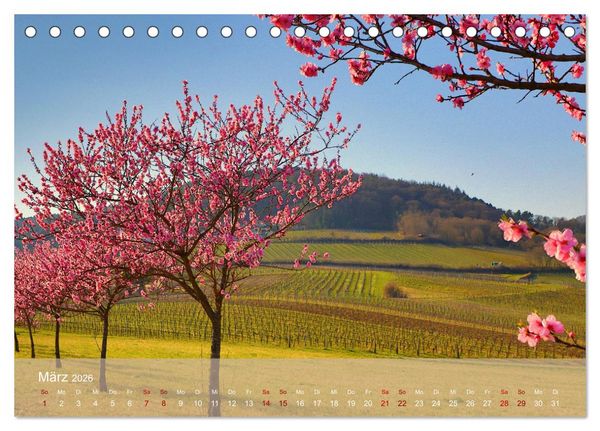 Produktbild: Wanderparadies S&uuml;dpfalz (Tischkalender 2026 DIN A5 quer), CALVENDO Monatskalender