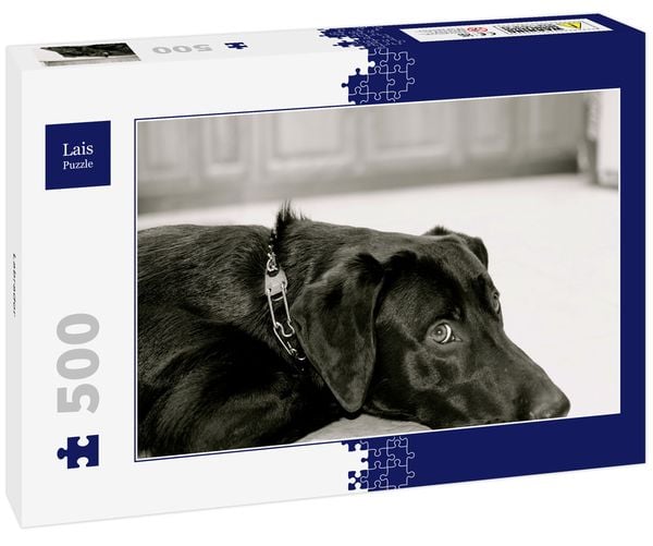 Lais Puzzle Labrador 500 Teile