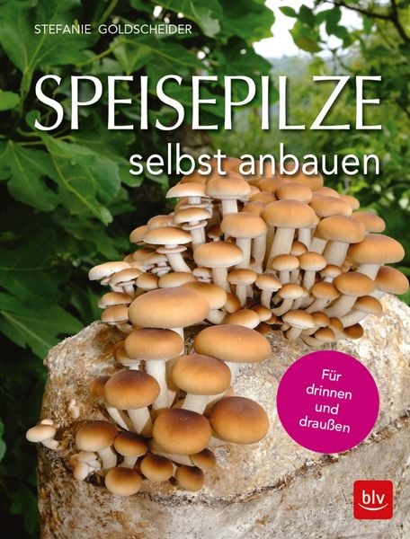 Produktbild: Speisepilze selbst anbauen