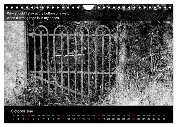 Produktbild: Through the Gate with Rumi (Wall Calendar 2026 DIN A4 landscape), CALVENDO 12 Month Wall Calendar