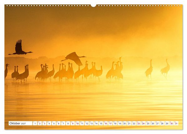 Produktbild: Natur und Tierparadies (hochwertiger Premium Wandkalender 2027 DIN A2 quer), Kunstdruck in Hochglanz