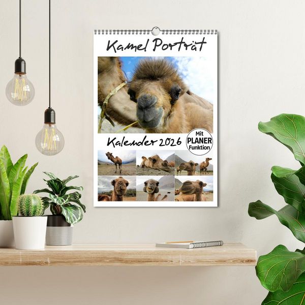 Produktbild: Kamel Portr&auml;t (Wandkalender 2026 DIN A3 hoch), CALVENDO Monatskalender