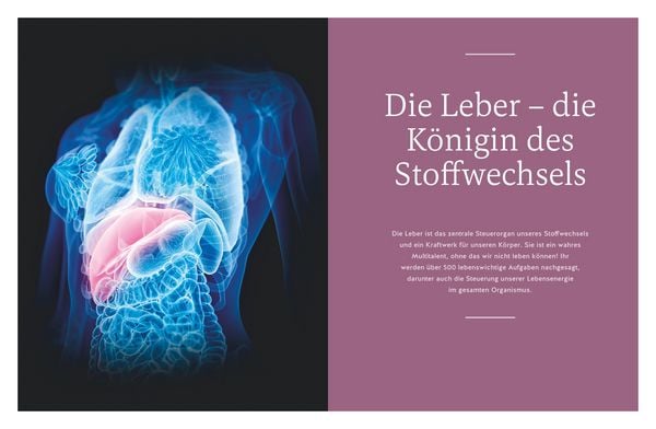 Produktbild: Die revolution&auml;re 9-Tage-Leber-Kur