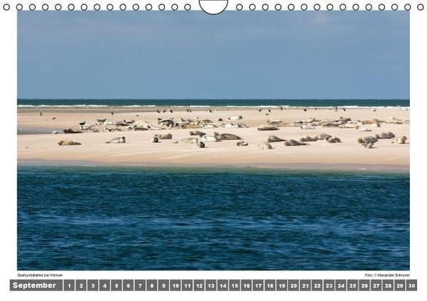 Produktbild: Nordsee - Impressionen einer Landschaft am Meer (Wandkalender immerw&auml;hrend DIN A4 quer)
