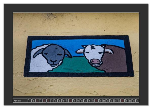 Produktbild: IRLAND - Insel der gl&uuml;cklichen Schafe (Tischkalender 2026 DIN A5 quer), CALVENDO Monatskalender