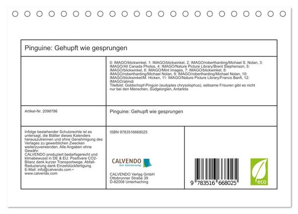 Produktbild: Pinguine: Gehupft wie gesprungen (Tischkalender 2026 DIN A5 quer), CALVENDO Monatskalender