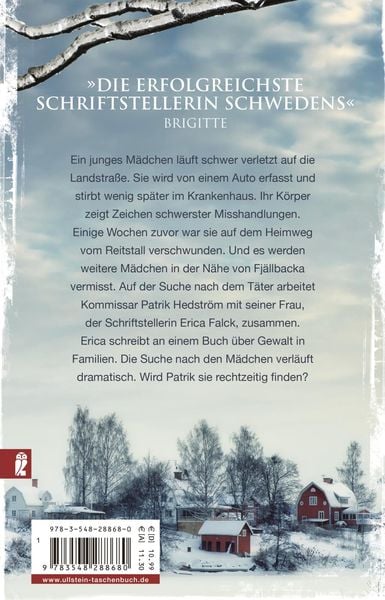 Produktbild: Die Schneelöwin / Falck und Hedström Krimis Bd. 9