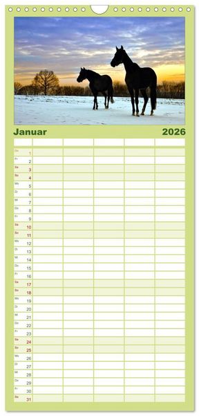 Produktbild: Familienplaner 2026 - Faszination Pferde mit 5 Spalten (Wandkalender, 21 x 45 cm) CALVENDO