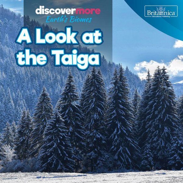 Produktbild: A Look at the Taiga