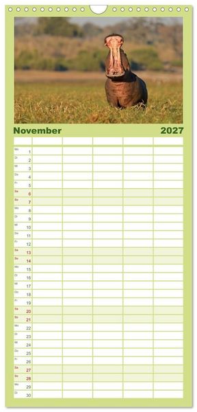 Produktbild: Familienplaner 2027 - Flusspferde Magie des Augenblicks - Hippos in Afrika mit 5 Spalten (Wandkalender, 21 x 45 cm) CALVENDO