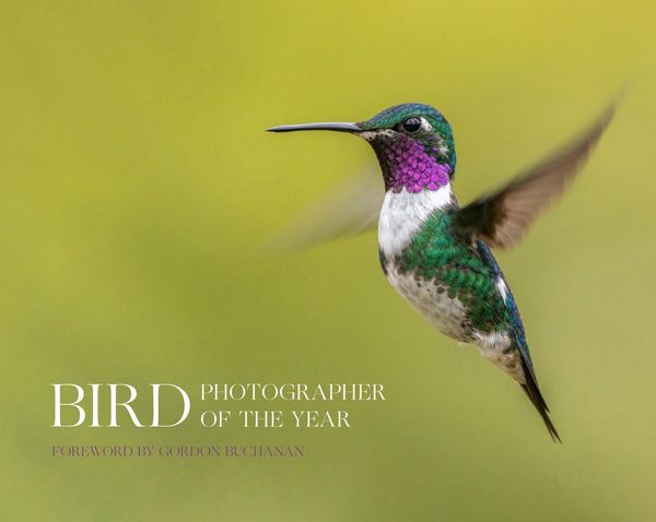 Produktbild: Bird Photographer_bird Phot Hb