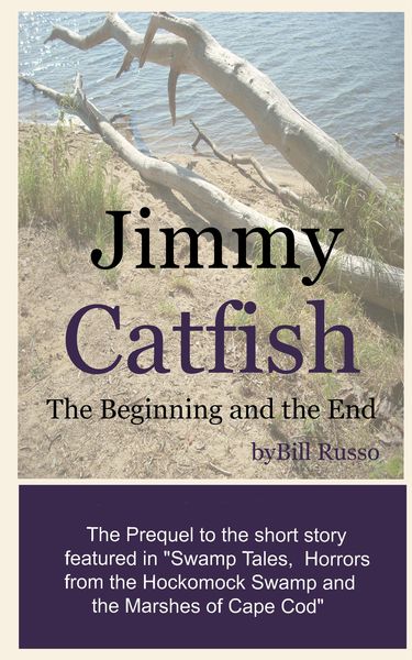 Produktbild: Jimmy Catfish: The Beginning and The End