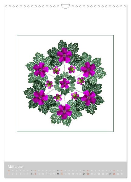 Produktbild: Pflanzen - Mandalas aus Bl&uuml;ten und Bl&auml;ttern (Wandkalender 2026 DIN A3 hoch), CALVENDO Monatskalender