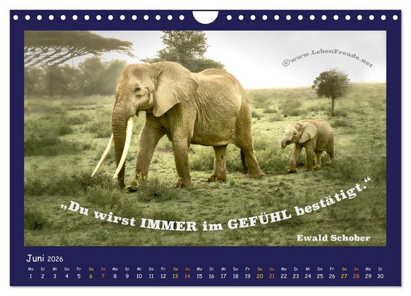 Produktbild: Bewusst leben und gl&uuml;cklich sein (Wandkalender 2026 DIN A4 quer), CALVENDO Monatskalender