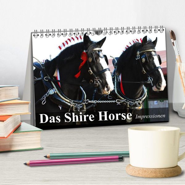 Produktbild: Das Shire Horse. Impressionen (Tischkalender 2026 DIN A5 quer), CALVENDO Monatskalender