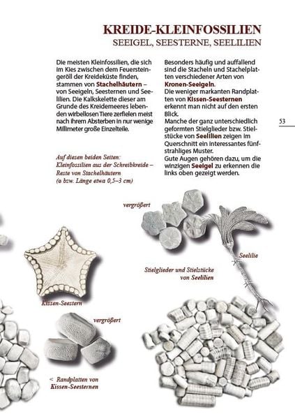 Produktbild: Steine am Ostseestrand
