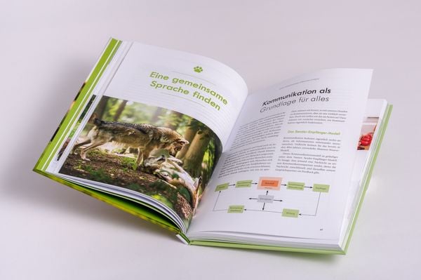 Produktbild: Artgerechte Hundeerziehung