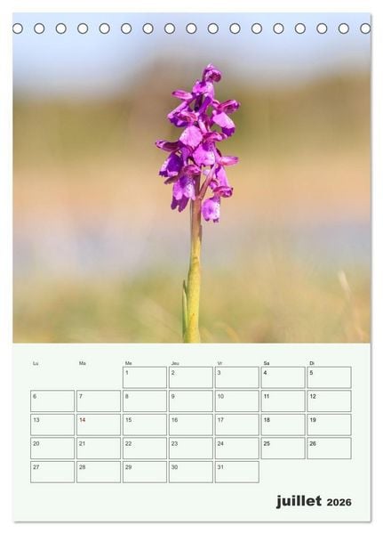 Produktbild: Fleurs en toute simplicit&eacute; - Beaut&eacute; minimaliste (Calendrier de bureau 2026 DIN A5 horizontal), CALVENDO calendrier mensuel