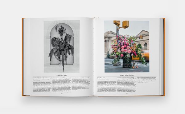 Produktbild: Flower: Exploring the World in Bloom