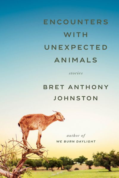 Produktbild: Encounters with Unexpected Animals