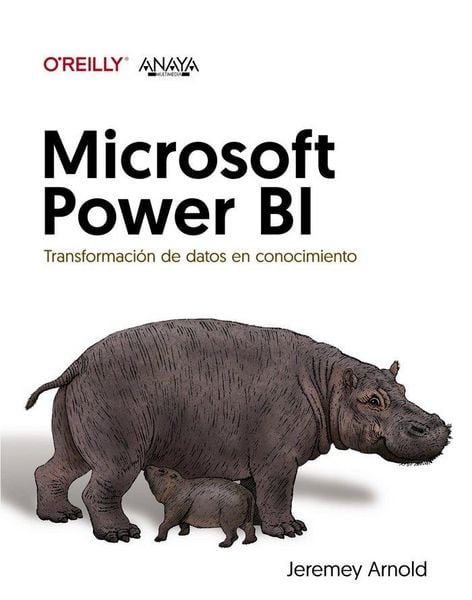 Produktbild: Microsoft Power BI. Transformaci&oacute;n de datos en conocimiento