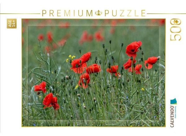 CALVENDO Puzzle Mohnblumen - Pure Faszination in Rot | 500 Teile Lege-Größe 48 × 36 cm Foto-Puzzle für Erwachsene