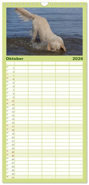Produktbild: Familienplaner 2026 - Hunde Action mit 5 Spalten (Wandkalender, 21 x 45 cm) CALVENDO