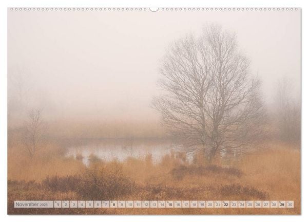 Produktbild: Moore und B&auml;che in Eifel und Ardennen (hochwertiger Premium Wandkalender 2026 DIN A2 quer), Kunstdruck in Hochglanz