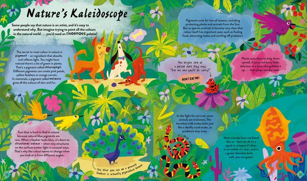 Produktbild: The Stories and Secrets of Colours
