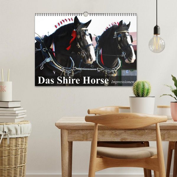 Produktbild: Das Shire Horse. Impressionen (Wandkalender 2026 DIN A3 quer), CALVENDO Monatskalender