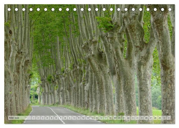 Produktbild: Provence von Christian Heeb (Tischkalender 2026 DIN A5 quer), CALVENDO Monatskalender