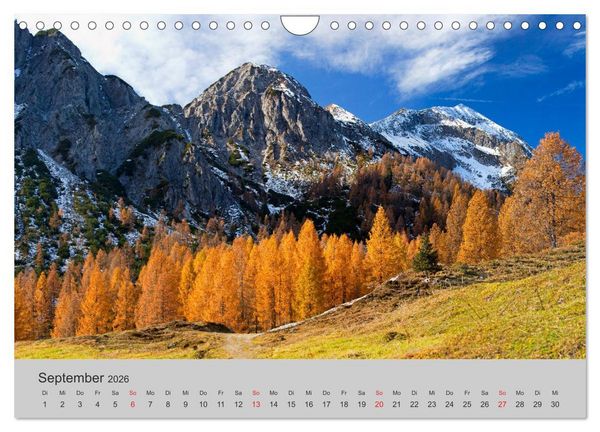 Produktbild: Komm, ich zeige dir den Wald (Wandkalender 2026 DIN A4 quer), CALVENDO Monatskalender