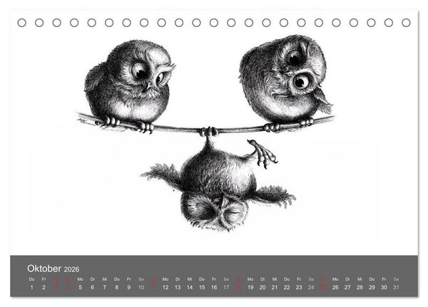 Produktbild: owls & friends 2026 (Tischkalender 2026 DIN A5 quer), CALVENDO Monatskalender