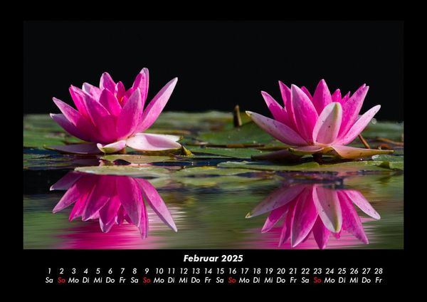 Produktbild: Rosentraum 2025 Fotokalender DIN A3