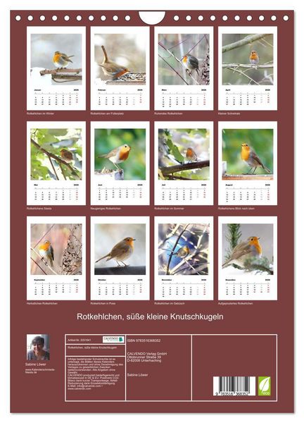 Produktbild: Rotkehlchen, s&uuml;&szlig;e kleine Knutschkugeln (Wandkalender 2026 DIN A4 hoch), CALVENDO Monatskalender