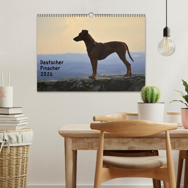 Produktbild: Deutscher Pinscher (Wandkalender 2026 DIN A3 quer), CALVENDO Monatskalender