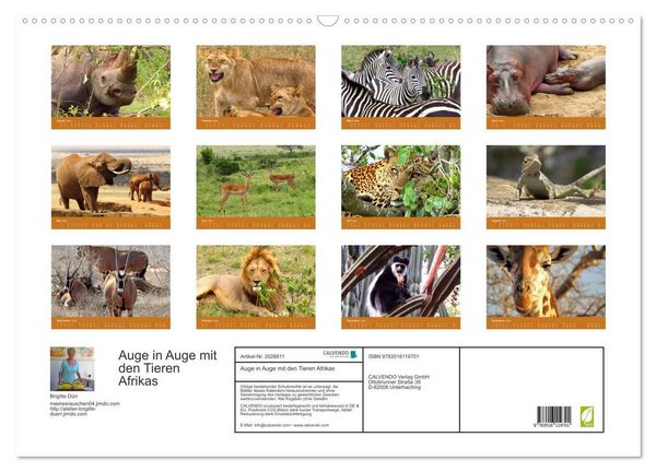 Produktbild: Auge in Auge mit den Tieren Afrikas (Wandkalender 2026 DIN A2 quer), CALVENDO Monatskalender
