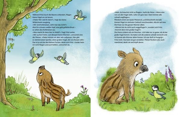 Produktbild: Wie fühlt der Wald?