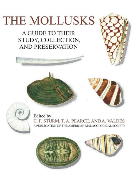 Produktbild: The Mollusks