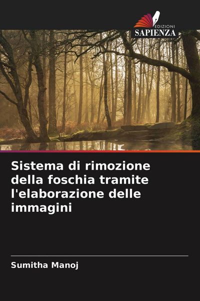 Produktbild: Sistema di rimozione della foschia tramite l'elaborazione delle immagini