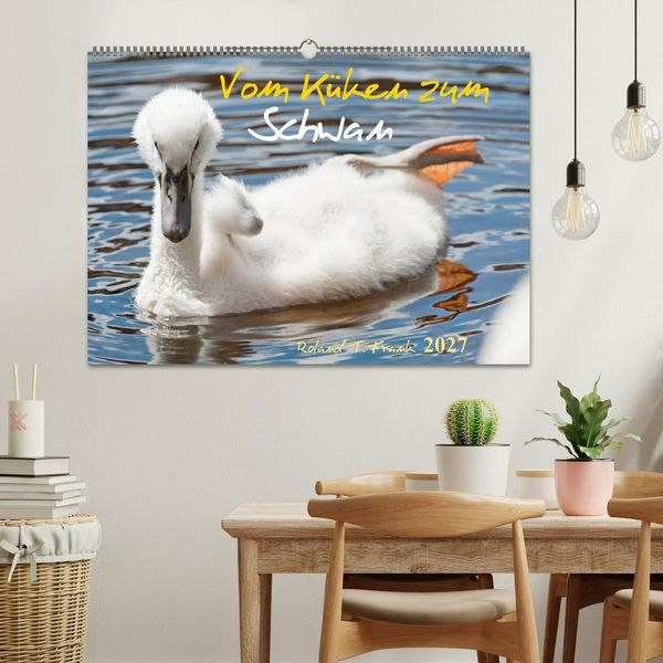 Produktbild: Vom K&uuml;ken zum Schwan (Wandkalender 2027 DIN A2 quer), CALVENDO Monatskalender