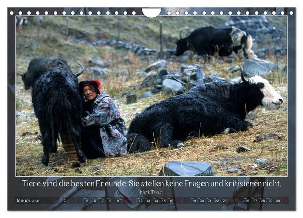 Produktbild: Facettenreiches Tibet (Wandkalender 2026 DIN A4 quer), CALVENDO Monatskalender