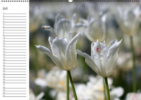 Produktbild: Ich denk an Dich ... Pers&ouml;nlicher Terminkalender (Wandkalender immerw&auml;hrend DIN A2 quer)
