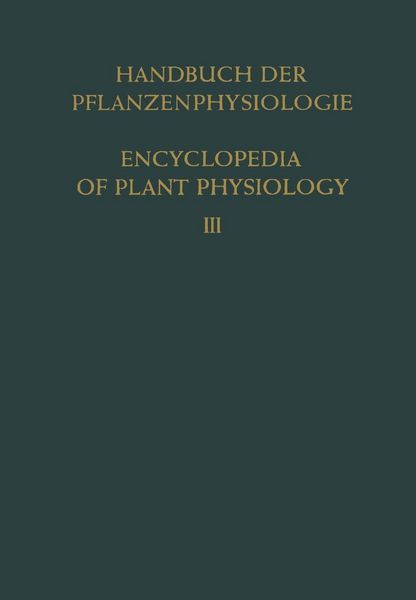 Produktbild: Pflanze und Wasser / Water Relations of Plants