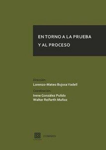 Produktbild: En torno a la prueba y al proceso