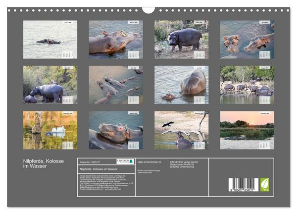 Produktbild: Nilpferde, Kolosse im Wasser (Wandkalender 2026 DIN A3 quer), CALVENDO Monatskalender