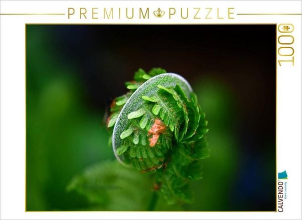 Produktbild: CALVENDO Puzzle Ein Motiv aus dem Kalender Gr&uuml;n / Geburtstagskalender / Terminplaner | 1000 Teile Lege-Gr&ouml;&szlig;e 64x48cm Foto-Puzzle f&uuml;r gl&uuml;ckliche Stunde