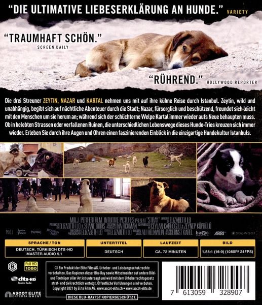 Produktbild: Streuner - Unterwegs mit Hundeaugen