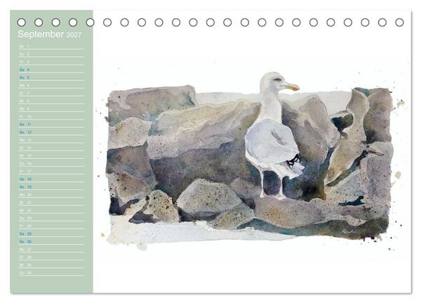 Produktbild: M&ouml;wen - Aquarelle von Julia Pasinski (Tischkalender 2027 DIN A5 quer), CALVENDO Monatskalender